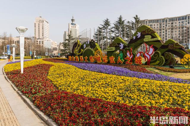 花卉景观扮靓街头