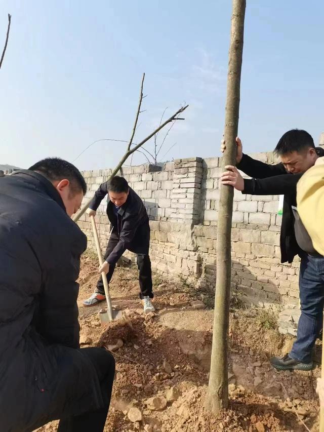 市民防办积极开展2023年义务植树活动