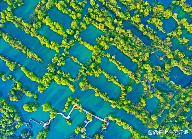 杭州西溪湿地旅游攻略
