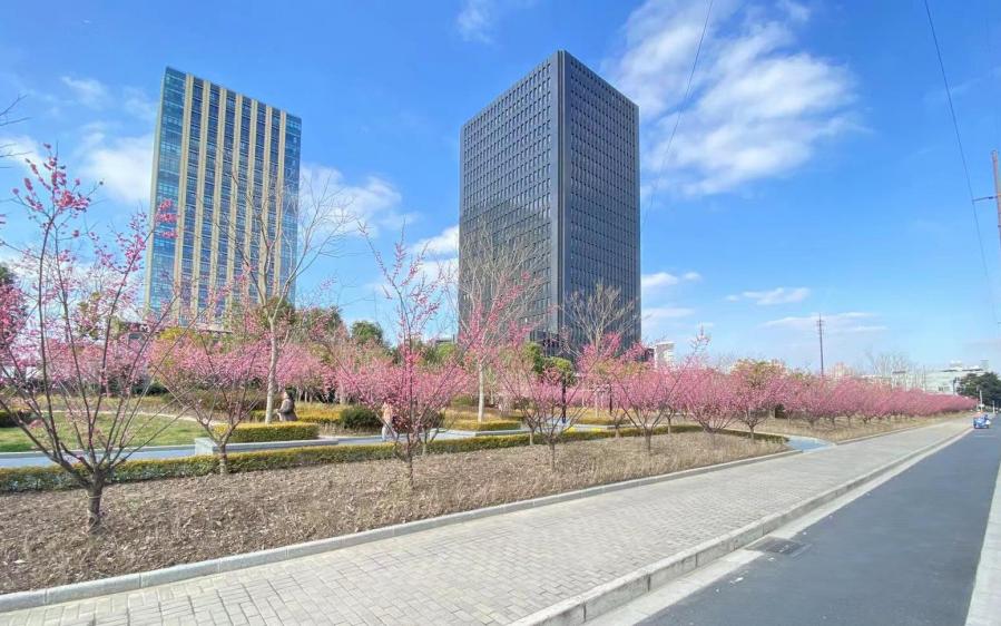 市绿化部门开展新一轮百条花道巡查考评工作