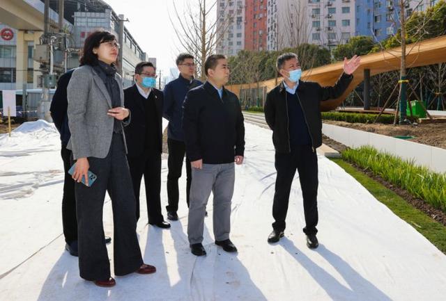 钟晓咏调研河长制林长制及道路绿化建设工作
