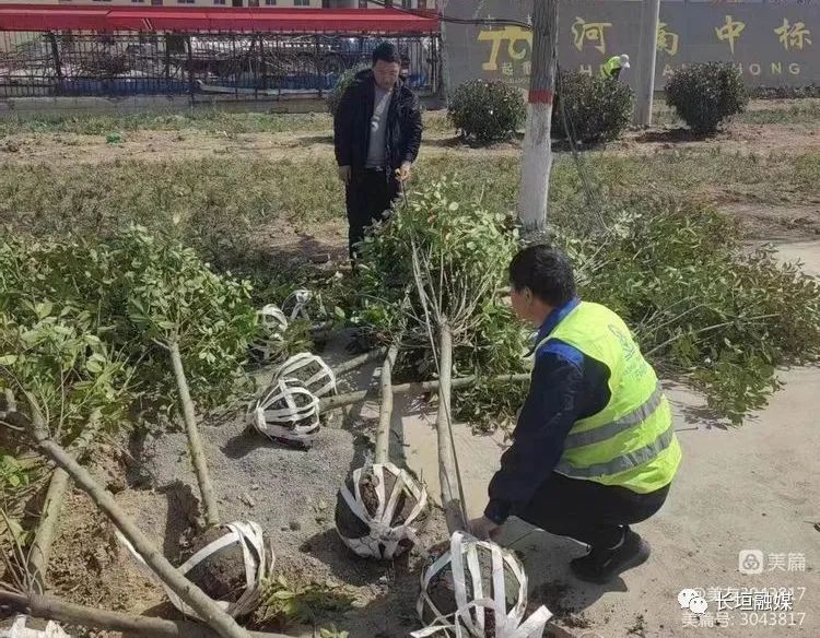 下足”绣花”功夫 彰显城管速度——市城市管理局高效推进巨人大道绿化改造提升工程