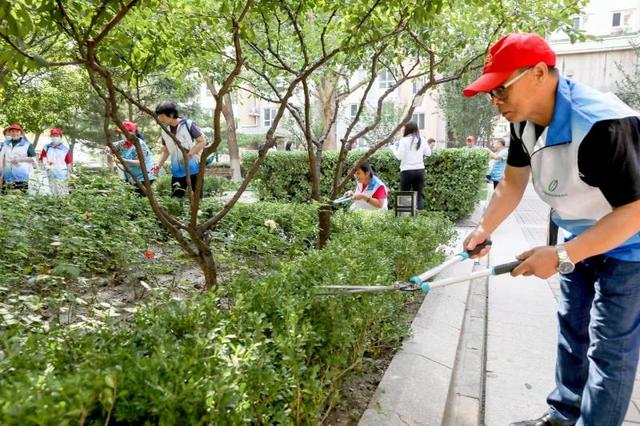 西城为263个社区统一配发专业绿化工具 提升义务植树尽责水平