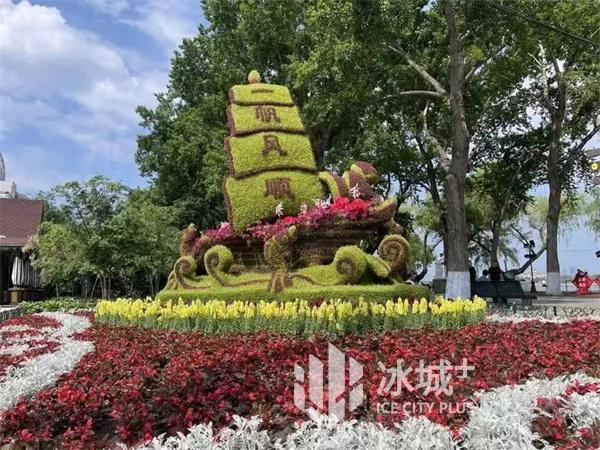 提质添彩 增绿精管｜道里区聚力打造城区园林环境