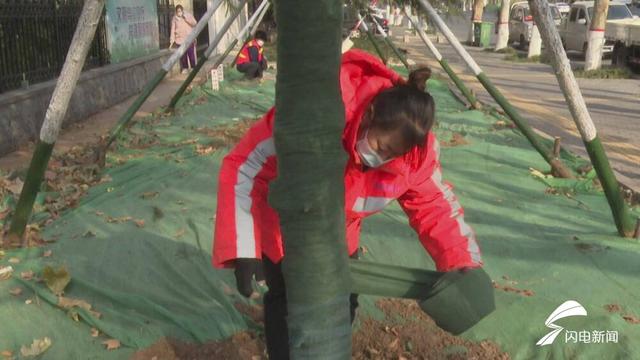 潍坊市奎文区：开启园林绿化“防冻”模式 确保植物安全越冬
