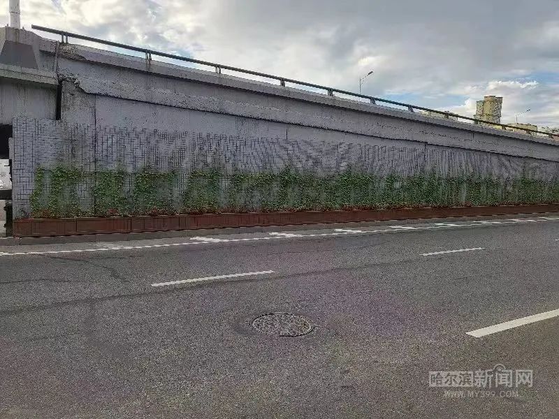 建筑披“彩衣” 城市添“新绿”