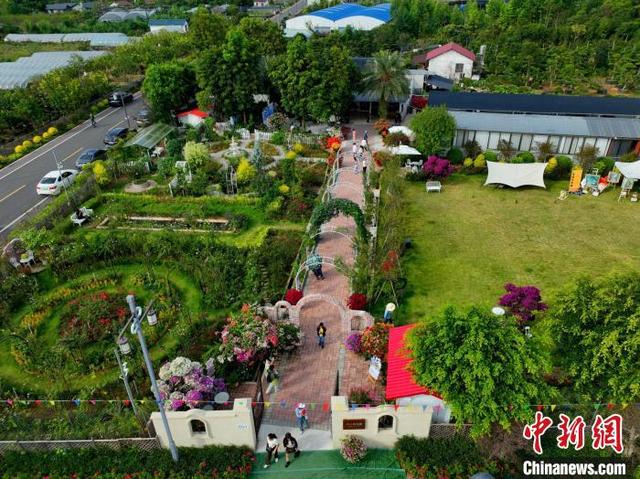 南方花卉苗木交易会：姹紫嫣红桂林城