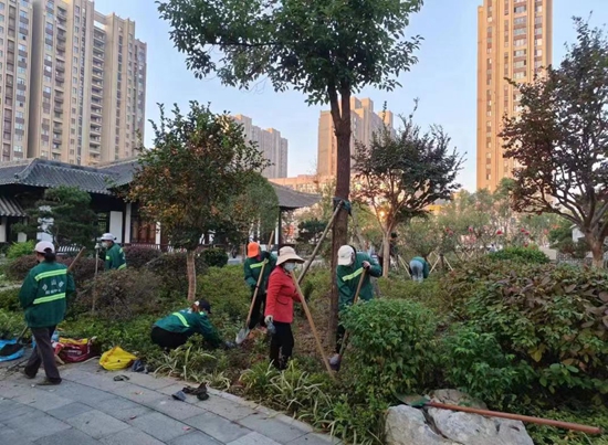 罗山县住建局园林绿化中心：秋季补植补栽 为城市增绿添彩