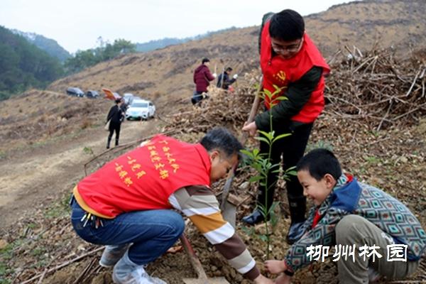 开展2023年新春珍贵树种义务植树活动