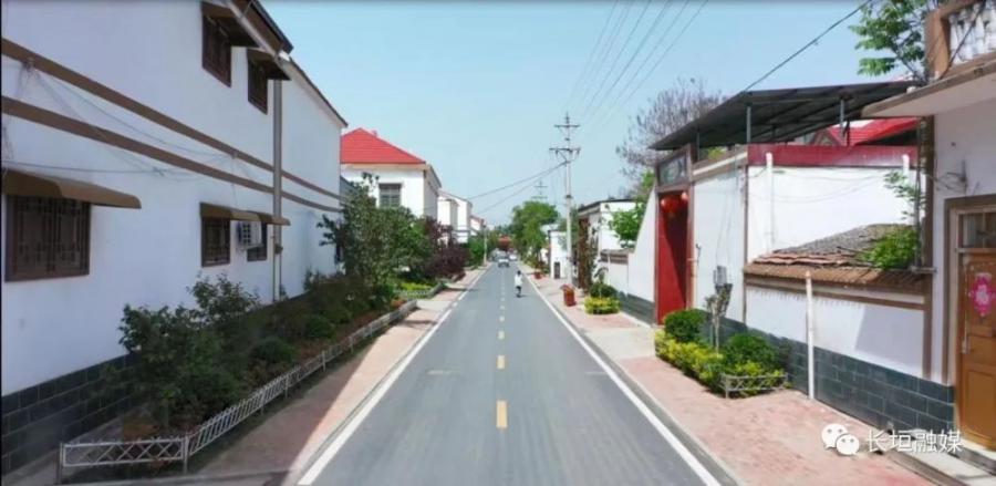 魏庄街道：四举措掀起春季绿化高潮