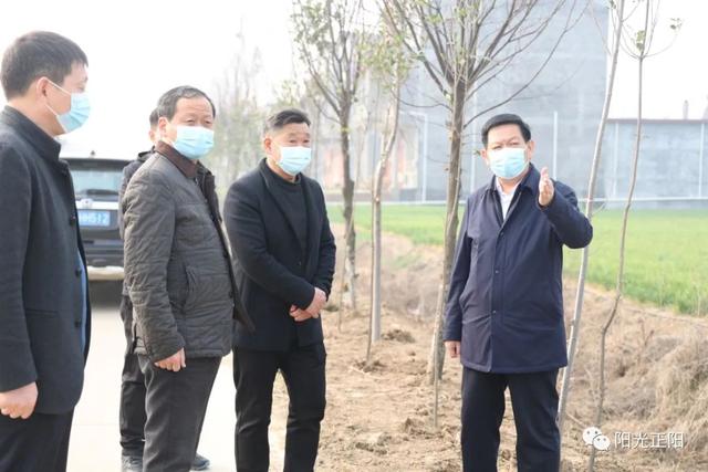 王东征调研精品林网建设工作 王东征调研精品林网建设工作