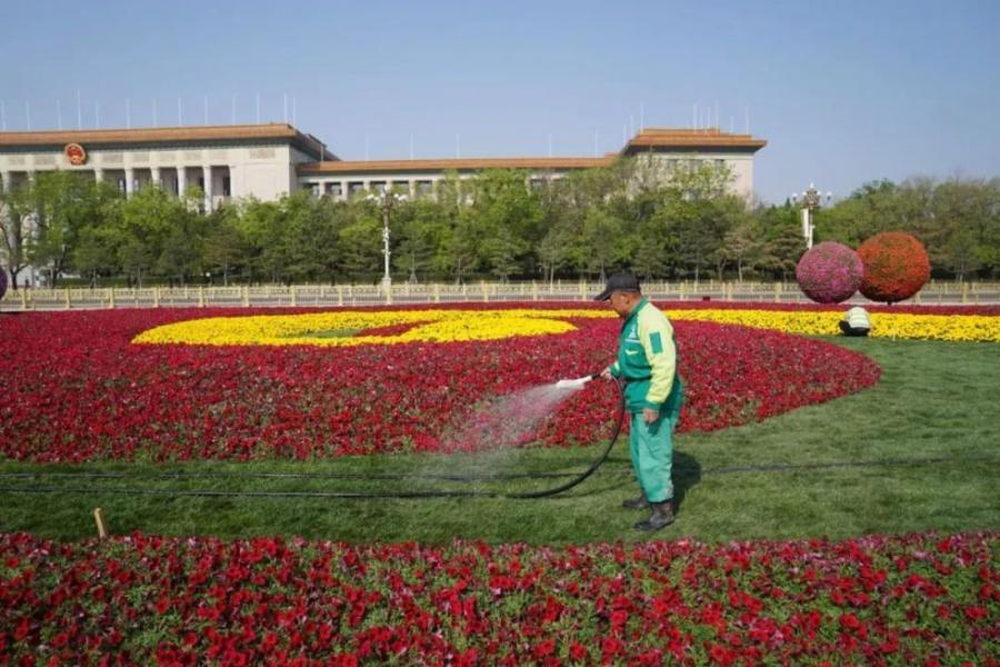 迎节日！天安门广场花卉景观上新