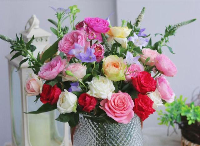 哪些花卉适合家里和办公室里种植，且很爱开花并好养？