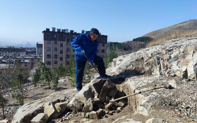 “山东好人”李如春：退休三年义务绿化，荒山
