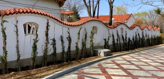 平凉中心城区园林绿化新植苗木2万株