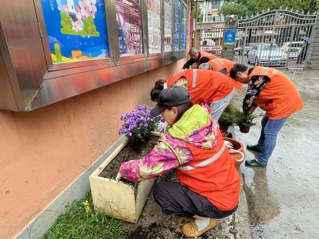 社区治理“景”上添“花”！宝山这个小区进行绿化带微更新