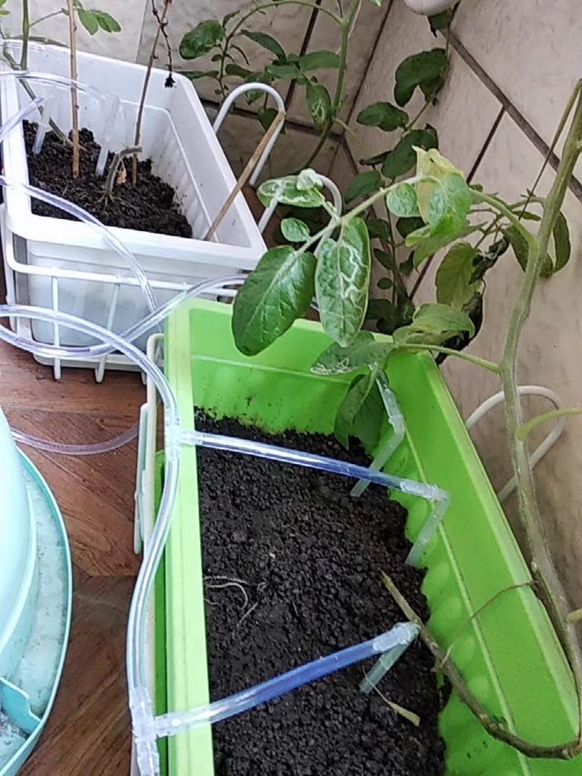 怎样设计阳台景观花园，自己动手这样做，让你家阳台变得更美