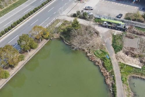 平湖市街头多处绿化容貌升级