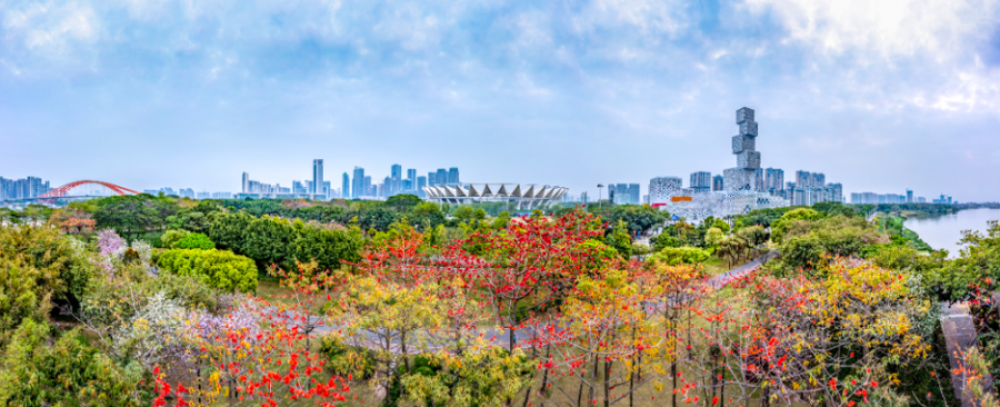 打造家门口的绿美公园！佛山新城绿化景观大改造！