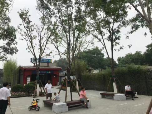 留白增绿，铺就首都高质量发展的亮丽底色