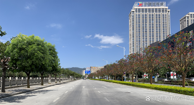 总长约2800米！泉州城东两个道路绿化景观提升项目开工
