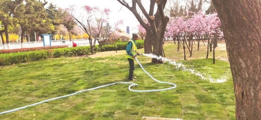我市抢抓“黄金期”，全面提升市区绿化养护水平
