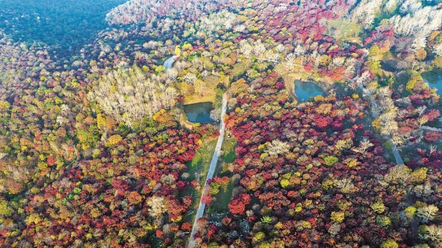 山川如锦入画来——白山市开展造林绿化保护生态环境工作综述