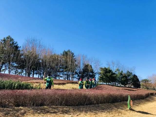 争分夺秒，全力冲刺，确保绿地景观优美良好