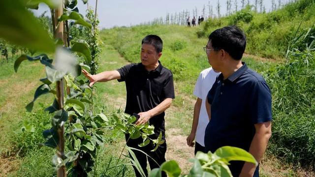 鱼台县擦亮“生态绿”，实现绿富共赢