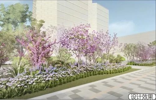 临空园区将新建4个“口袋公园”，还将打造“红枫街
