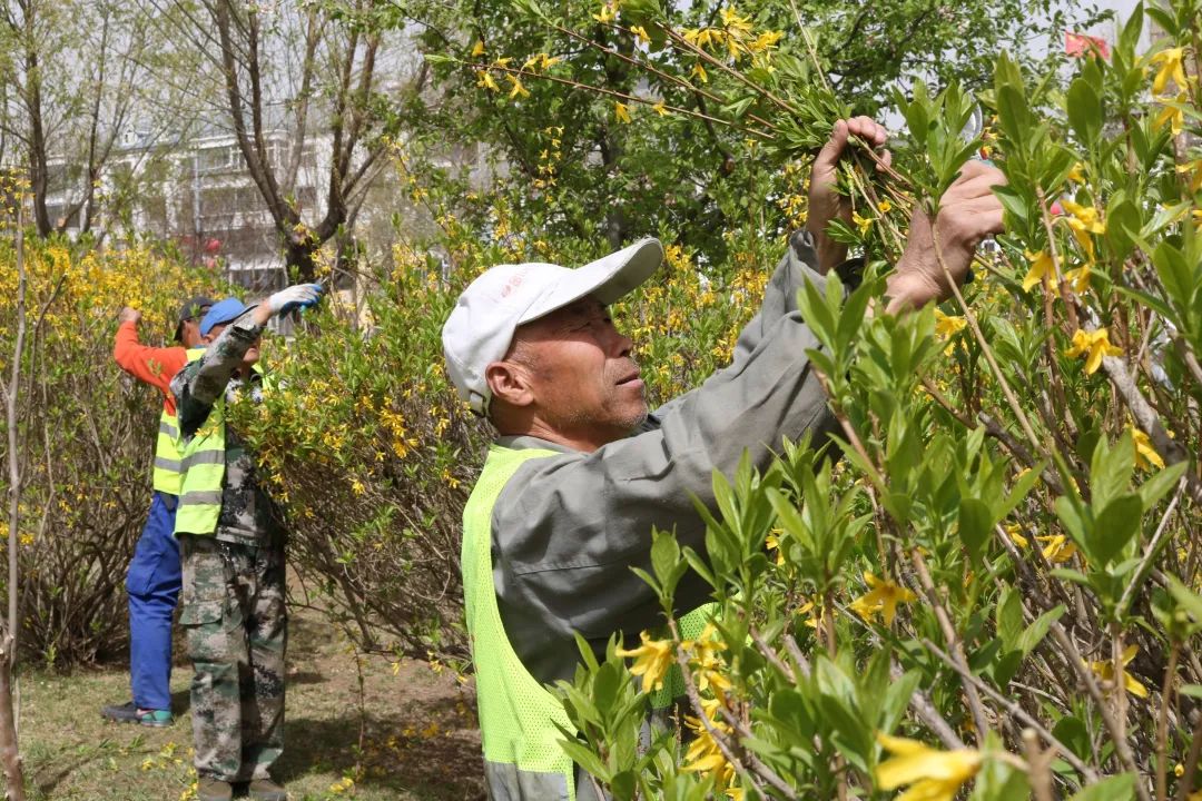 秦皇岛海港区：以绣花功夫扮靓城市