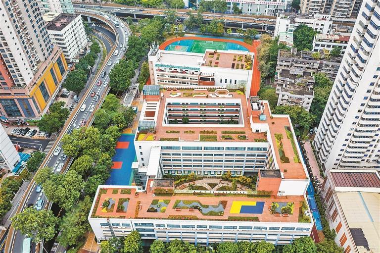 罗湖“立体绿化进校园”项目多点开花 “屋顶花园”给师生带来满满春色