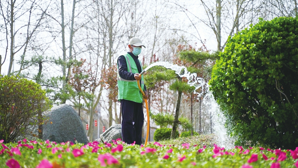 我市抢抓黄金期——补植增绿 共绘春画卷