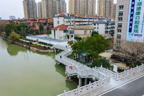 平湖市街头多处绿化容貌升级