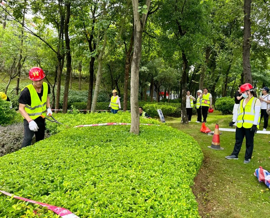 绿化技能大比拼！ 这里有一场园林绿化养护技能竞赛