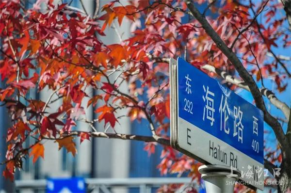 虹口区再添一条绿化特色道路