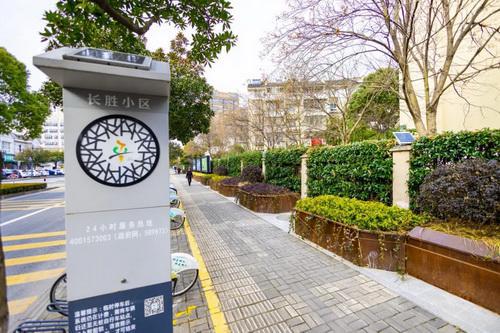 平湖市街头多处绿化容貌升级