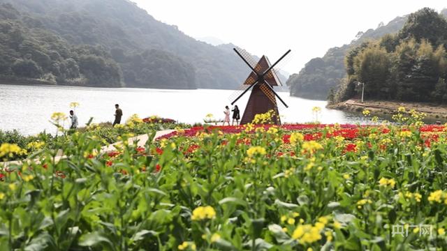 广东发展“赏花经济”促增收