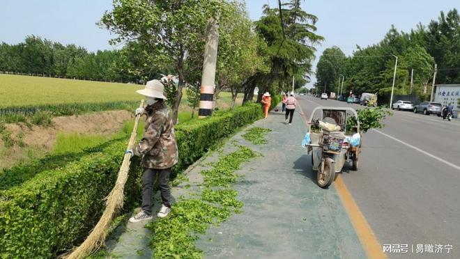 济宁高新区王因街道绿化养护在行动 济宁高新区王因街道绿化养护在行动