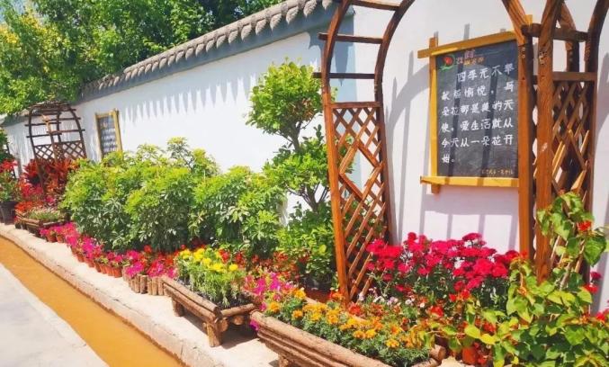 白银区以“千万工程”经验为指引 助力美丽乡村建设