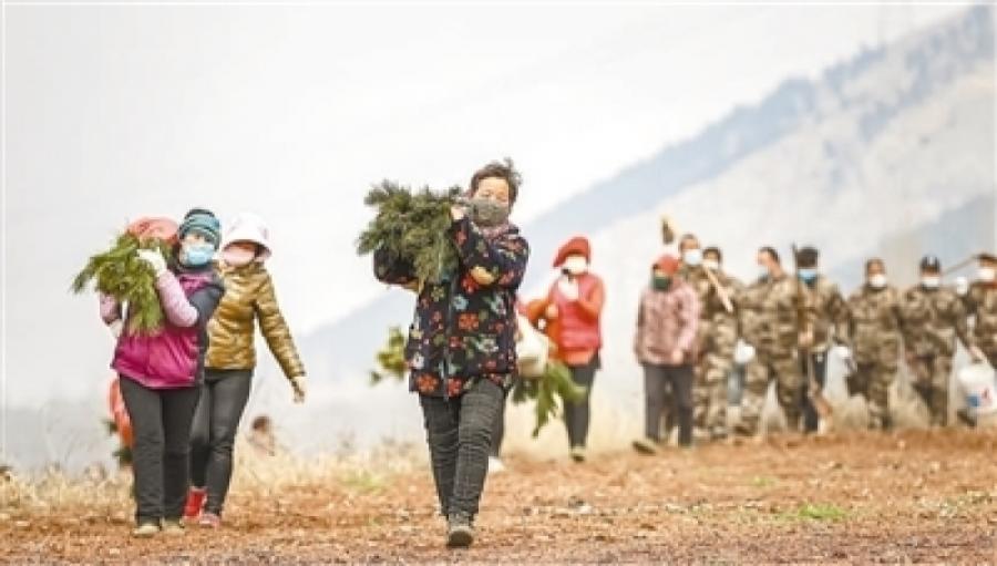 植树造林 绿化祖国（新时代画卷