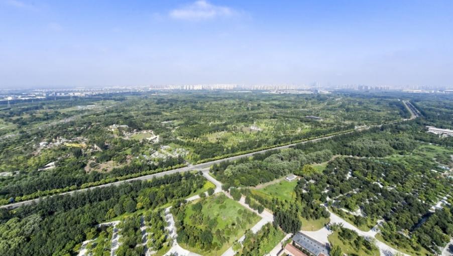 见缝插绿，北京城市副中心建精品口袋公园
