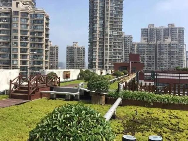 “高高在上”的美丽！打卡长宁这些“空中花园”