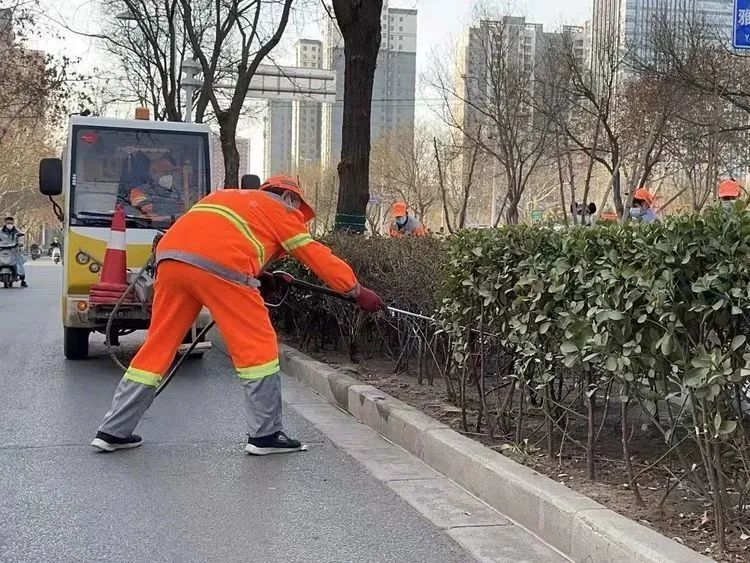 清理整治绿化带 守护绿色风景线