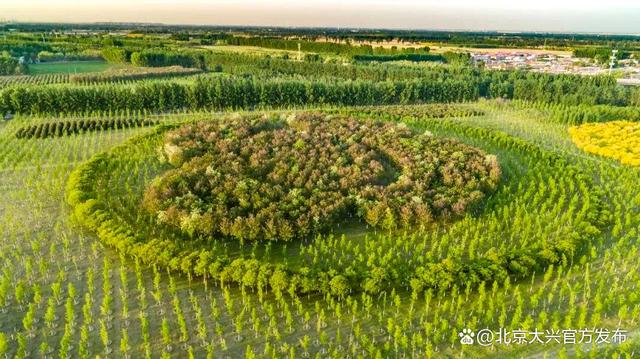 绿美大兴新形象 给大兴人稳稳的幸福