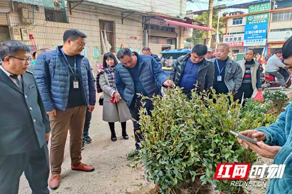 道县：加强苗木质量监管 助力春季造林绿化
