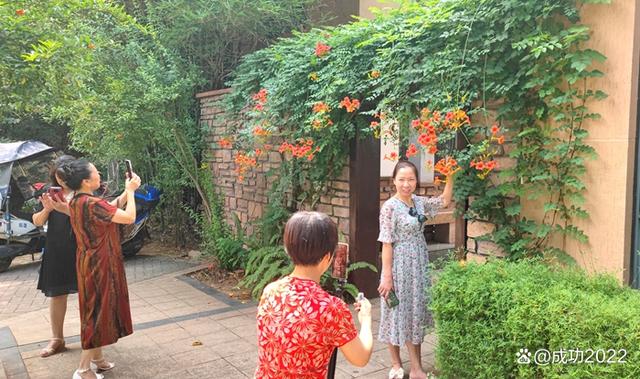 家乡美景风光秀：衡阳市南湖公园凌霄花绚丽绽放，灿烂夺目