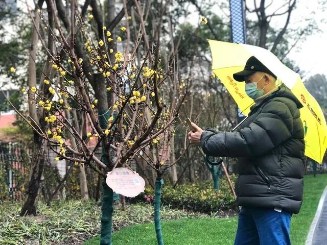 这个“私家花园”突然开放！上海有390座口袋公园，街拍打卡不输武康路