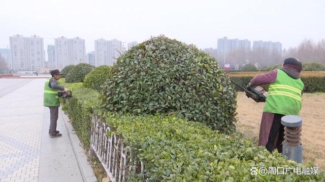 周口经济开发区：不负春季好时光 绿化修剪正当时