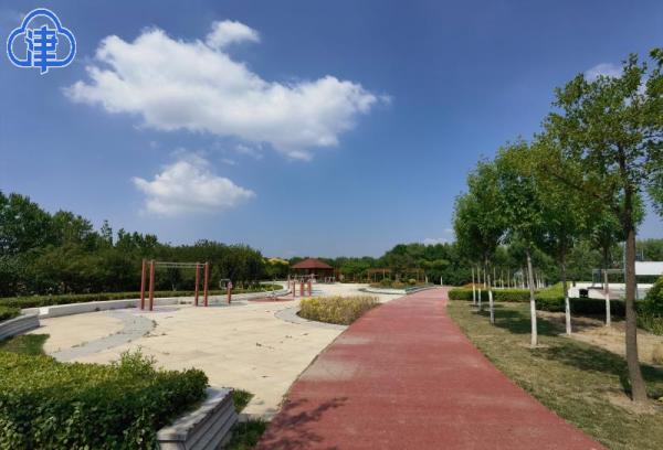 三百米见绿，五百米见园！天津港保税区首批口袋公园建成投用